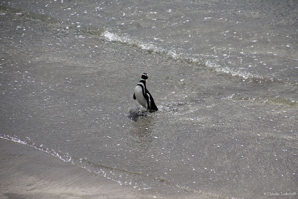 Canon EOS 60D, 270 mm, 18-270mm, ISO 100, 1/500 s à f / 8,0