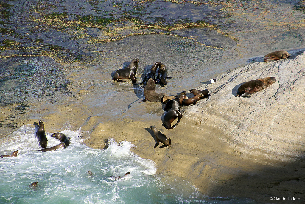 Canon EOS 60D, 200 mm, 18-270mm, ISO 100, 1/320 s à f / 7,1